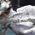 Silicon washing gloves - Image 2